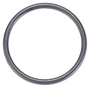 BKI (Barbeque King) 00014 O Ring Parker #2 124 Large