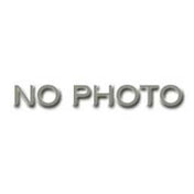 Garland 2485801 Motor 115v 1/3hp 1700
