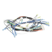 Southbend SOU1195321 Control Harness Wendys Gas