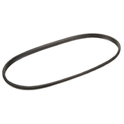 Blodgett -62479 Gasket Door (cs 6 23)