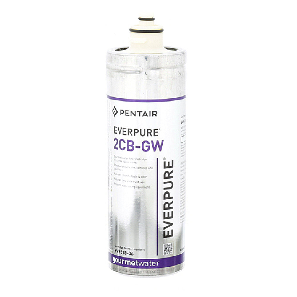 Everpure 9618-36 Cartridge Water Filter Everpure 2cb Gw