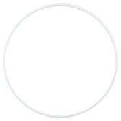 Hoshizaki 431736-01 Ring