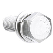 AllPoints 8015928 Hex Bolt 6 X 20