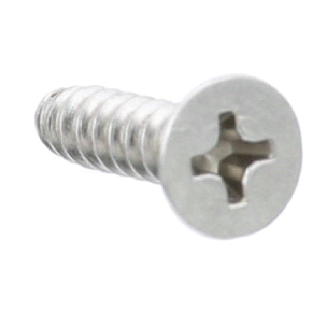 AllPoints 8016070 T2 Flat Head Screw 4x16 Sus