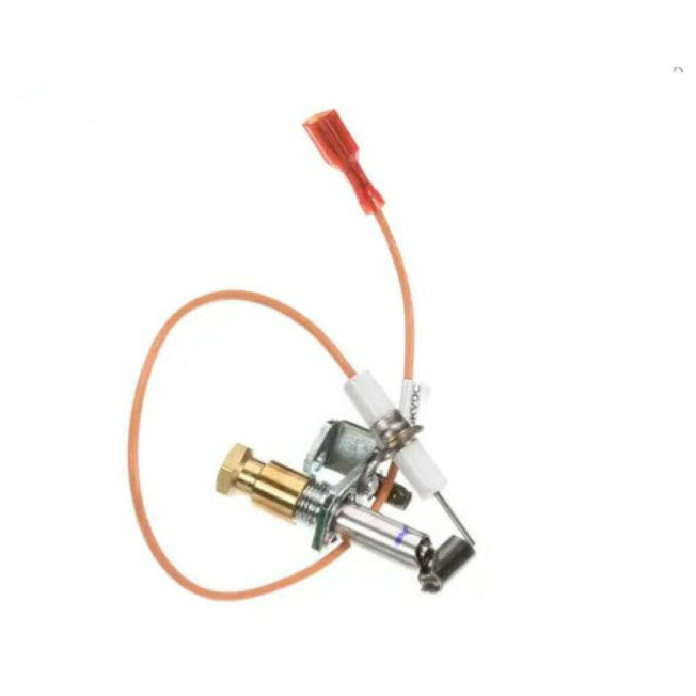 Lang K9-EZG-995 Pilot/ignitor Assy