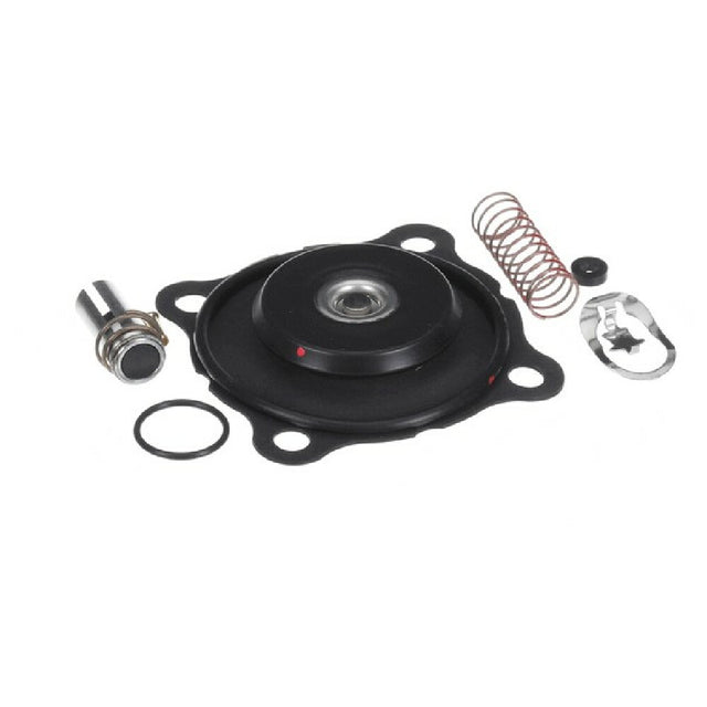 Stero P54-2842 Repair Kit 1 Steam Valve
