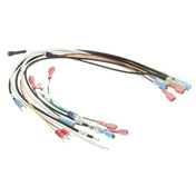 Roundup - AJ Antunes 0700871 Wire Set Firehouse