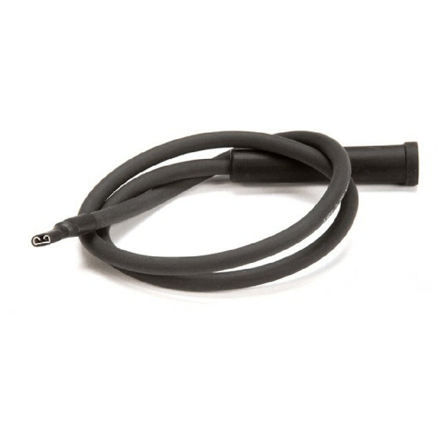 Aaon Inc. R11470 Sparker Wire Black 30