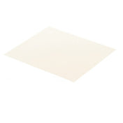Amana 12160602 Shield Spill
