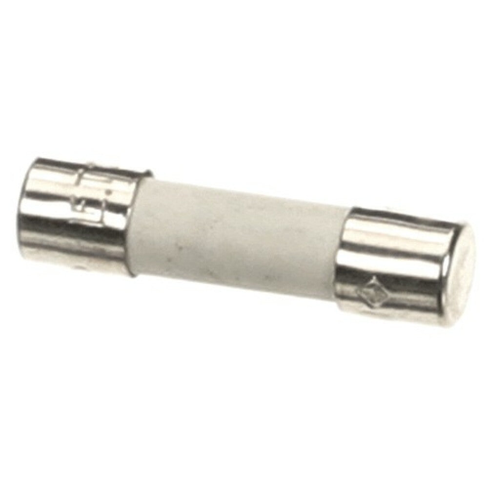 Amana 20034004 Fuse 10a Tdm