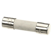 Amana 20034004 Fuse 10a Tdm