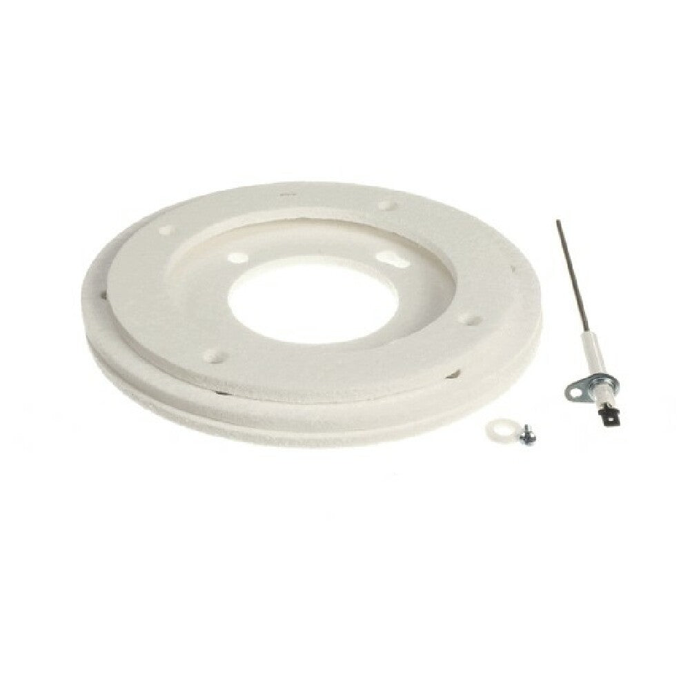 A.O. Smith 100113151 Flame Sensor