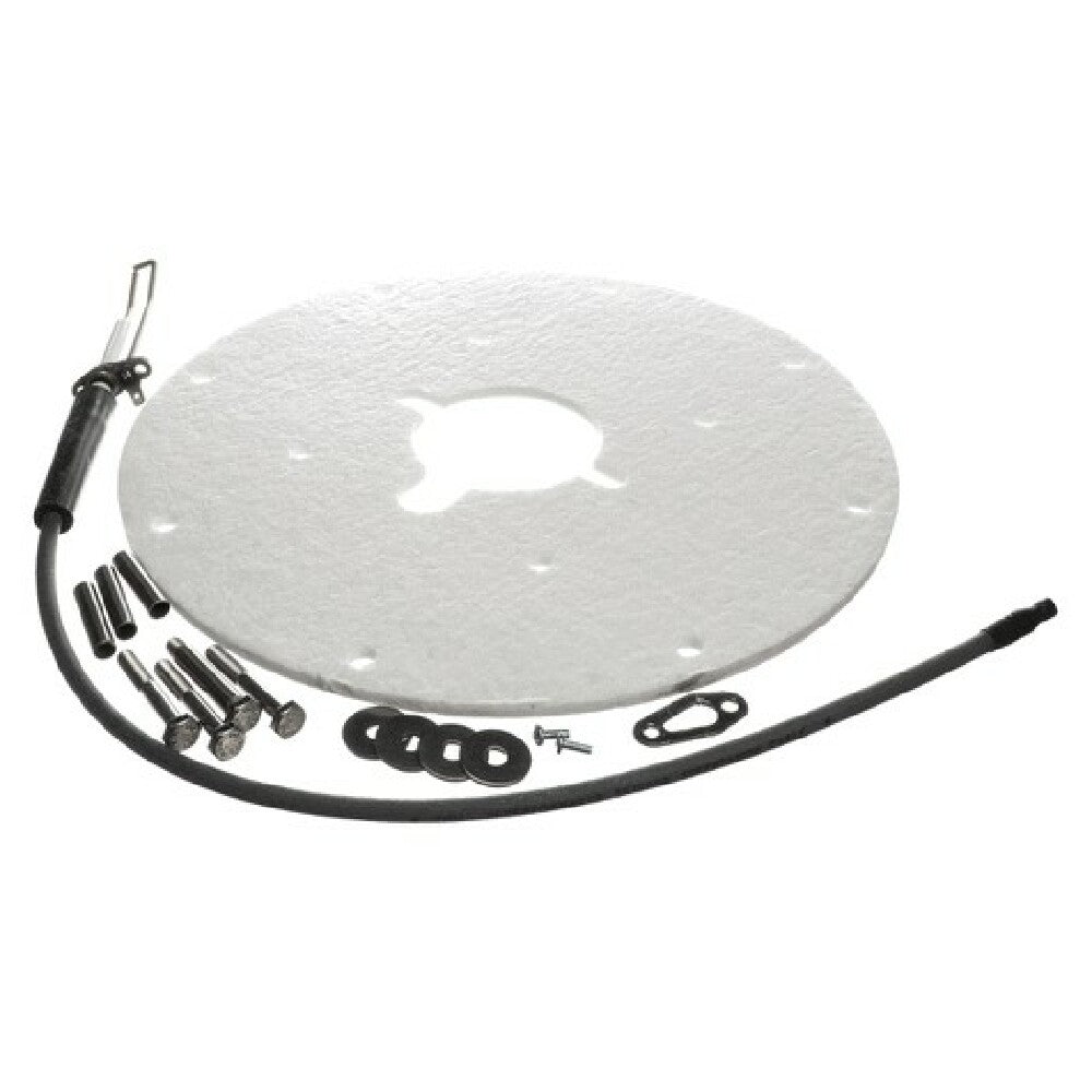 A.O. Smith 100271889 K Spark Igniter Assy(angled)