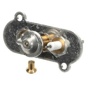 Axis 81-PC66 Ignitor/ Pilot Assembly For Pasta