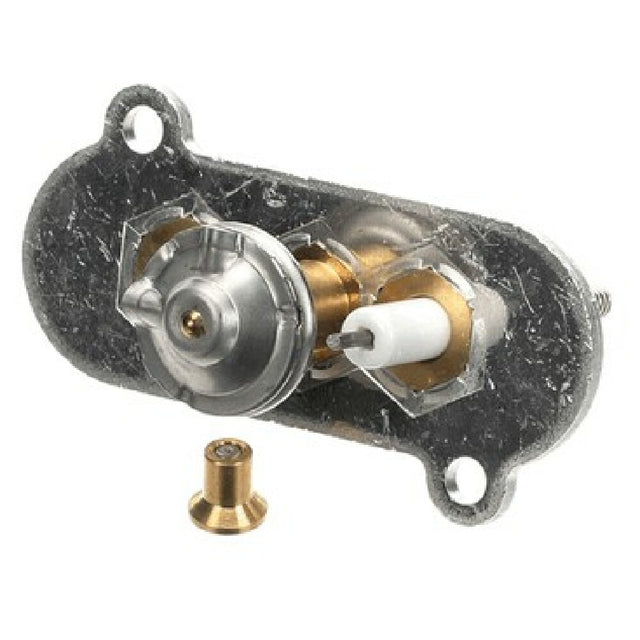 Axis 81-PC66 Ignitor/ Pilot Assembly For Pasta