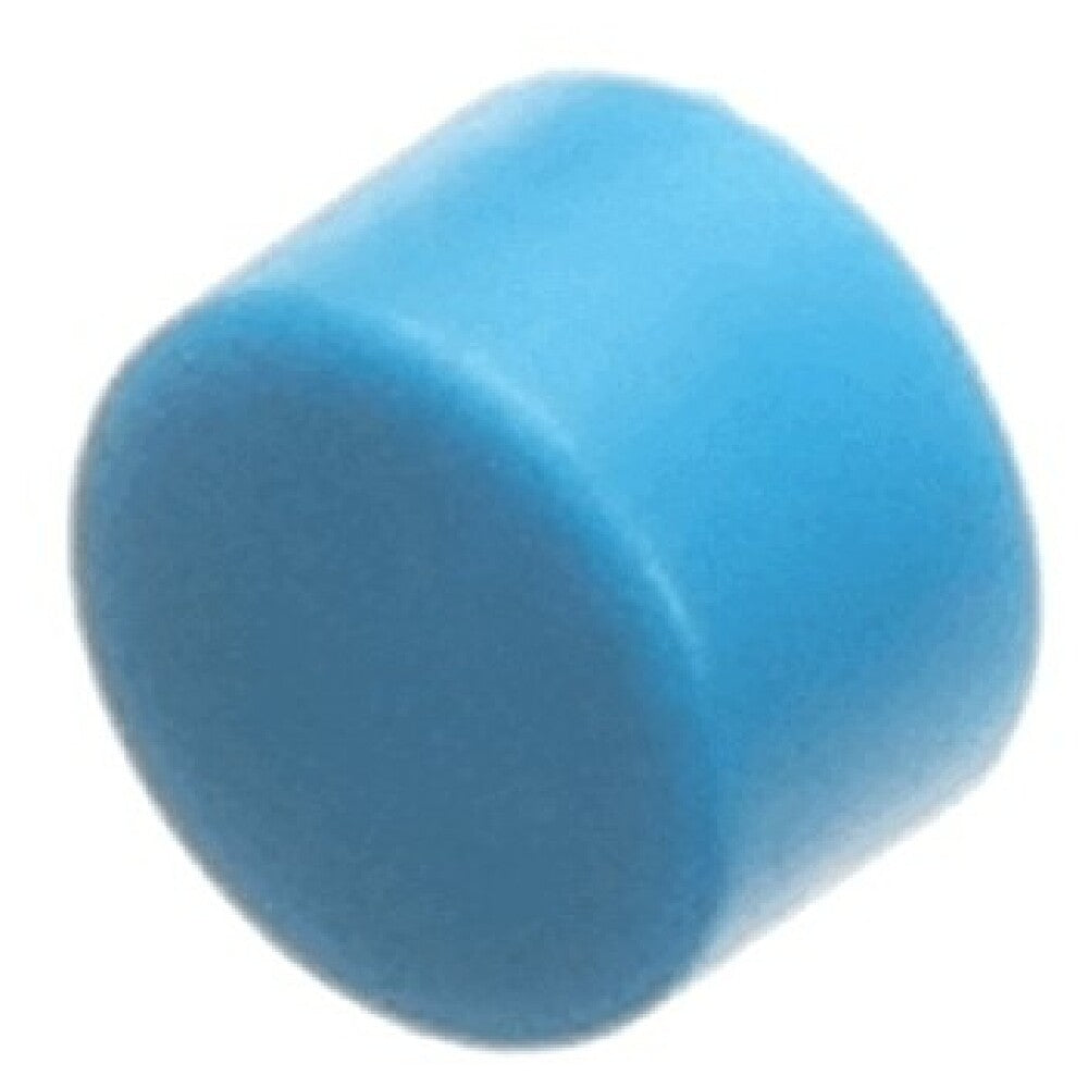 Bizerba 000000071960100000 Button