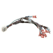 Blodgett 57481 Harness Frt Neeo Man