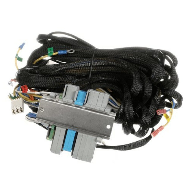 Blodgett 62943 Harness Wiring