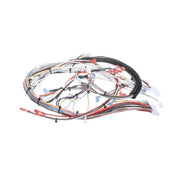 Bunn 32263.0006 Wiring Harness Main Ultra 2