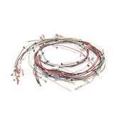 Bunn 33634.0001 Wiring Harness Main Dual Sh