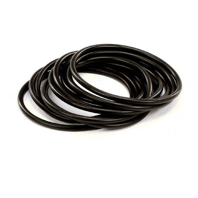 Carpigiani 193205050 O Rings 10pk