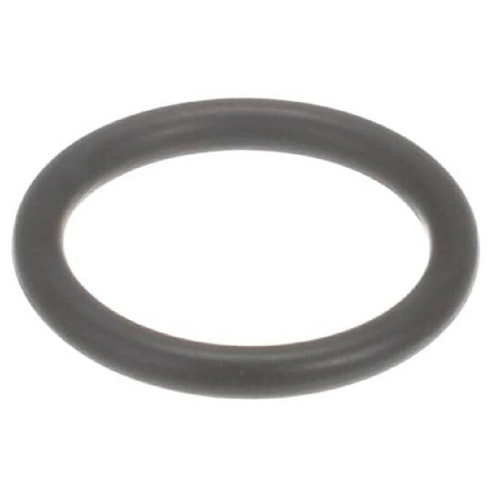 Carpigiani 193205110 O Ring