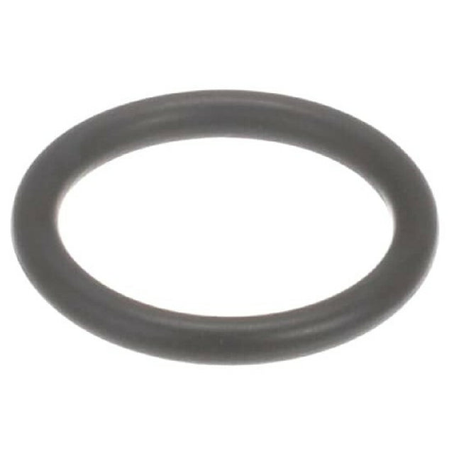 Carpigiani 193205110 O Ring