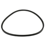 Carpigiani IC531005524 Belt 9 7x 8 862 Xpz