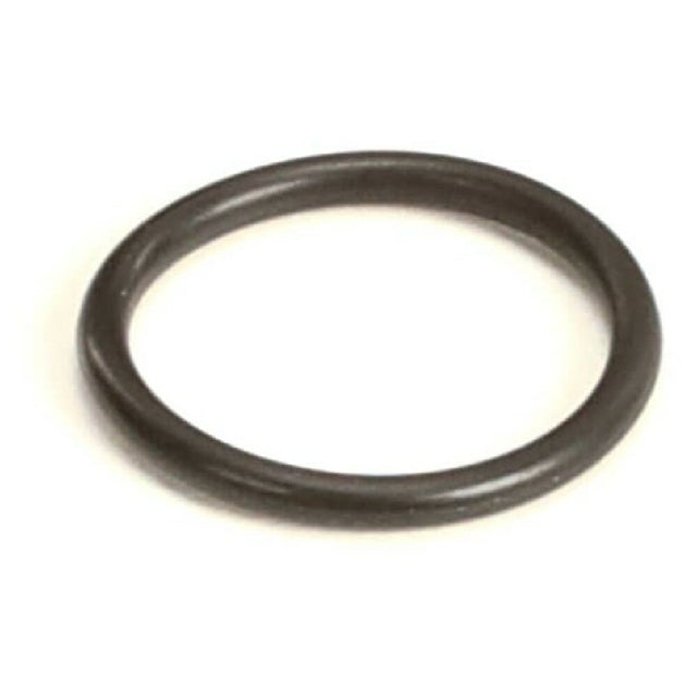 Carpigiani IC541000116 O Ring 1 78 15 6 Nb 70 2062