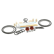 Carpigiani ICA5555750 Tune Up Kit Minor Uc1131p