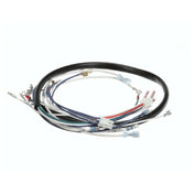 Champion 0509039 Harness Control Box Df/sw