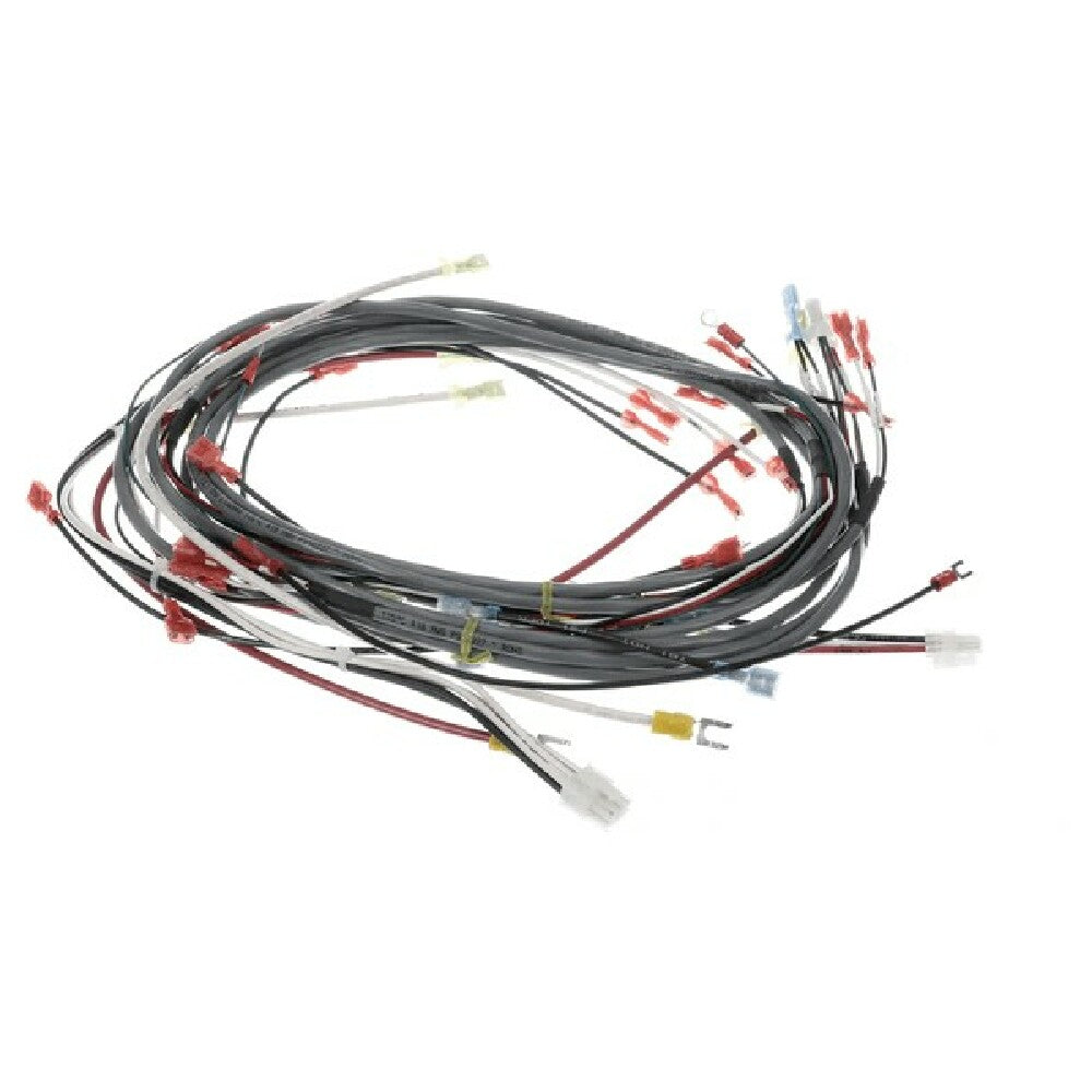 Champion 0512538-1 Harness Wiring Dfm7.5