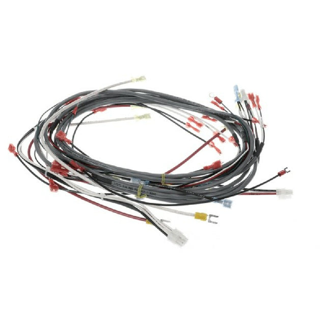 Champion 0512538-1 Harness Wiring Dfm7.5