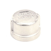 Champion 100113 Cap 3/4 Npt Sst