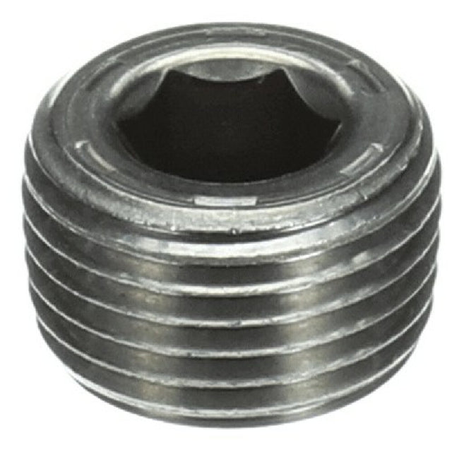 Champion 114587 Plug 1/2npt 316 Ss Allen