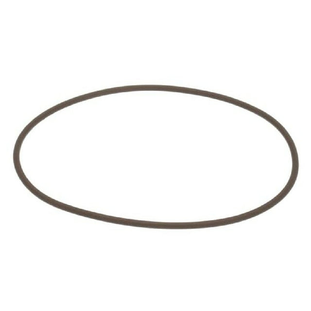 Champion 115231-6 Aux Rinse Pump 38399 O Ring