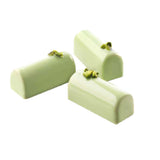 group picture