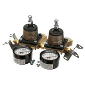 Cornelius 283012122 Regco2 S 2x100 2 1/4fl
