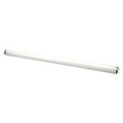 Cornelius 31928 Bulb Light 23 Inch