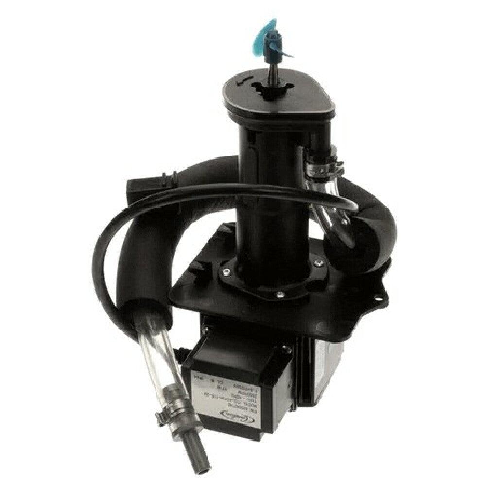 Cornelius 720502800 Pump Assembly Agit 115v