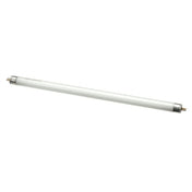 Cornelius F8T5/CW Bulb Fluorescent