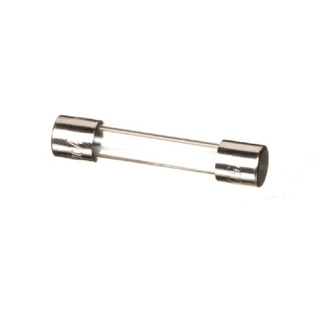CROWN STEAM 9173-2 Fuse Time Delay 0.3a 250v