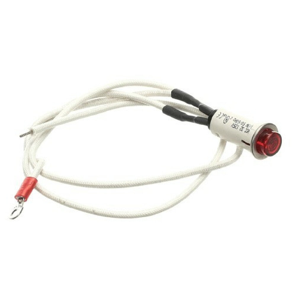 Dinex 09917 Pilot Light