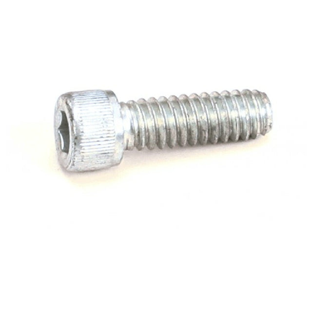 Doughpro SSH142034 Screw Socket Head 1/4 20x3/4