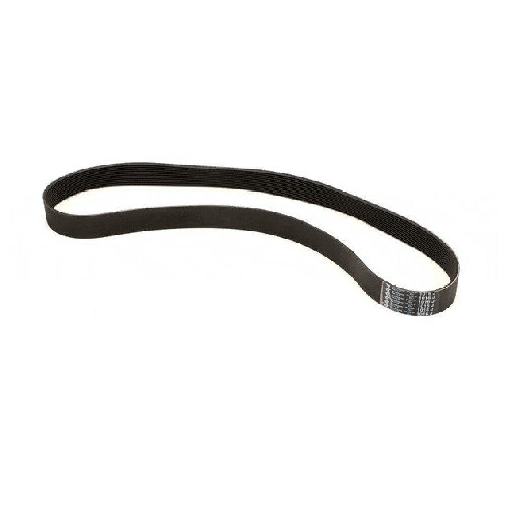 Electrolux 0KJ743 Belt
