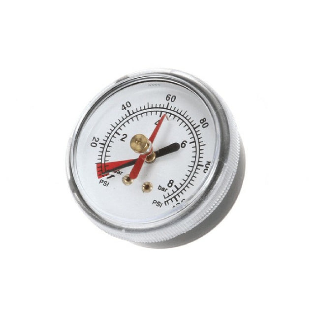 Everpure EV306818 Back Mnt Brass Gauge 0 125 Psi