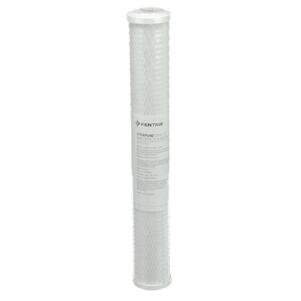 Everpure EV910863 Cg53 20