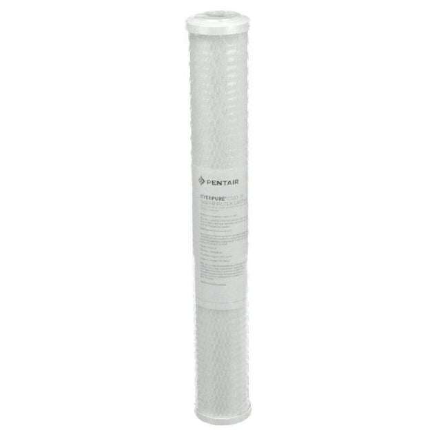 Everpure EV910863 Cg53 20