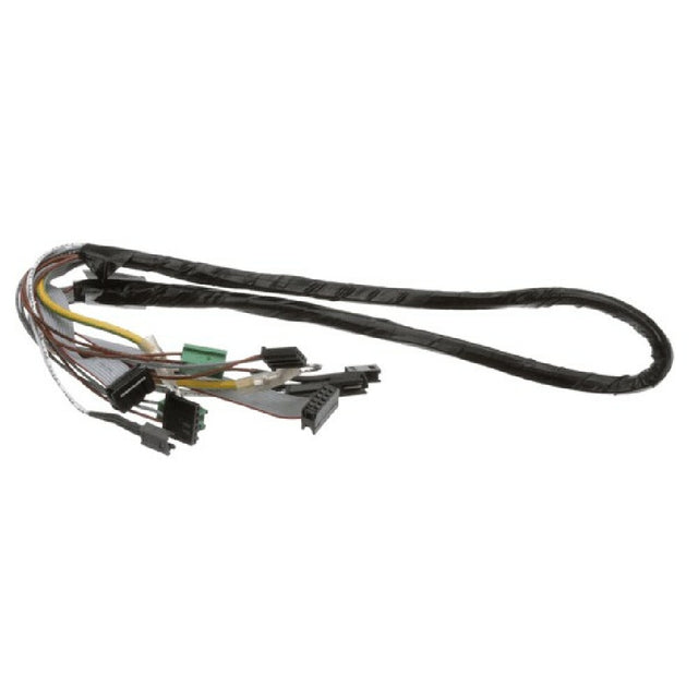 Fagor 12114419 Wiring Harness Bottom