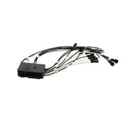Franke 19004376 Wiring Harness